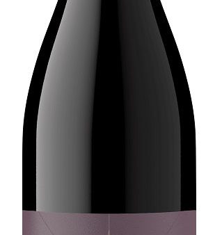 Pinot Noir  Origin - Ribbon Ridge , Soter Vineyards 2021 on Sale