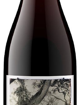 Pinot Noir  White Buffalo Land Trust , Sandhi 2021 Hot on Sale