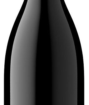 Pinot Noir  Origin - Dundee Hills , Soter Vineyards 2021 Online now