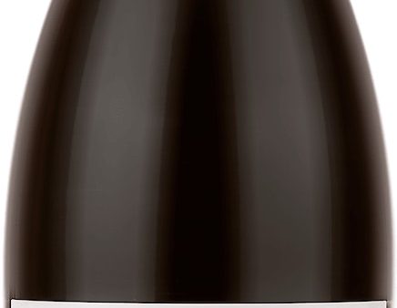 Pinot Noir, Brundlmayer 2019 Online Hot Sale