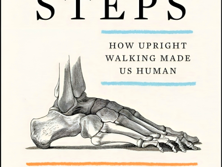 First Steps: How Upright Walking Made Us Human For Discount