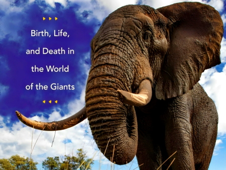 Elephants: Birth, Life, And Death In The World Of The Giants Online